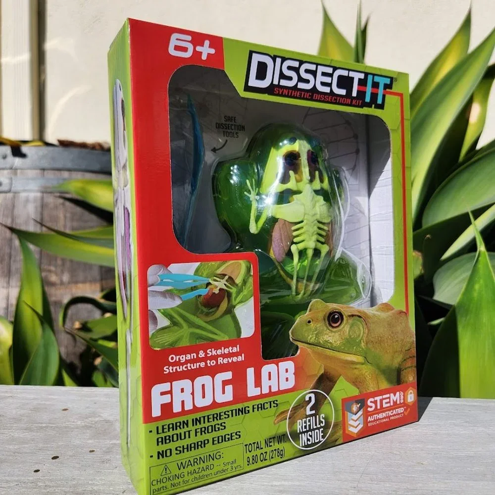 NEW Dissect-it Synthetic Lab Dissection Toy STEM KIT CRAFT Frog Easter gift